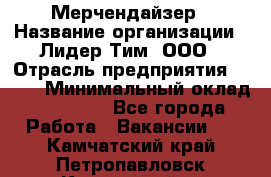 Мерчендайзер › Название организации ­ Лидер Тим, ООО › Отрасль предприятия ­ BTL › Минимальный оклад ­ 17 000 - Все города Работа » Вакансии   . Камчатский край,Петропавловск-Камчатский г.